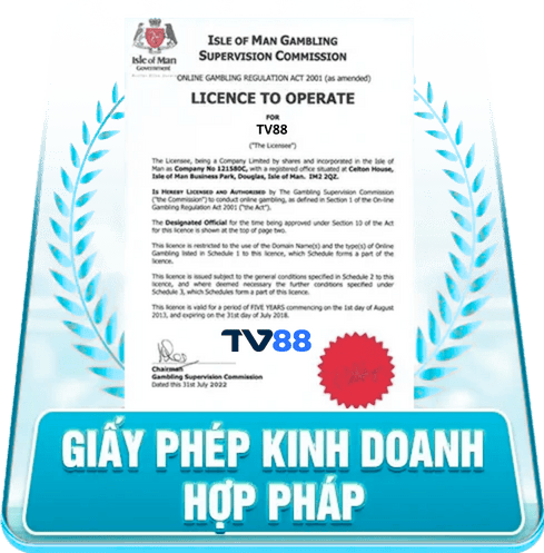 giấy phép hoạt động tv88